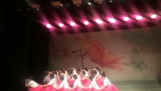 夯实专业技能 提升专业情意