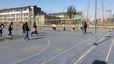 激扬青春 享受排球快乐