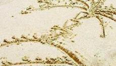 欢度中秋节 同赏虎丘月