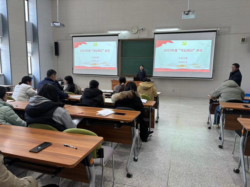 书记项目分享交流(1)