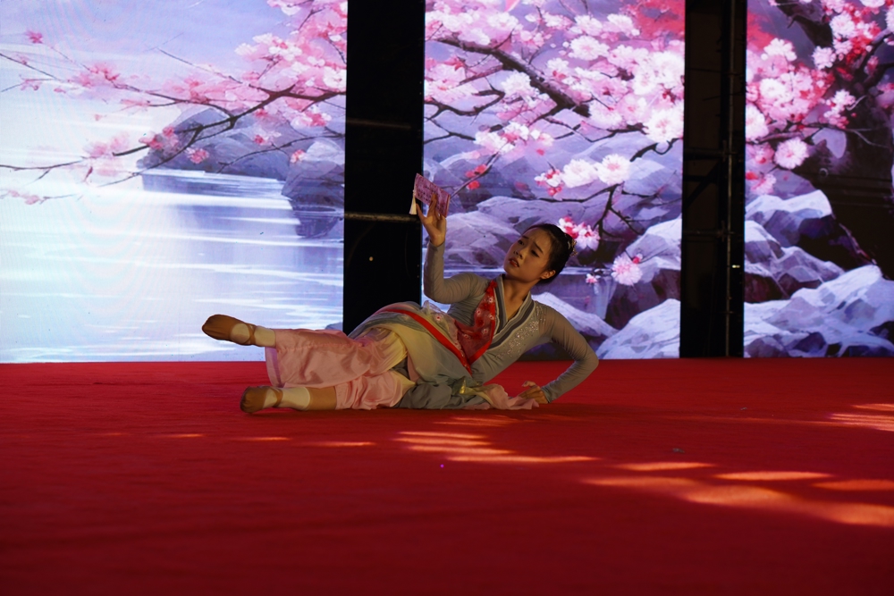 独舞：《桃花笺》 表演者：陈静怡